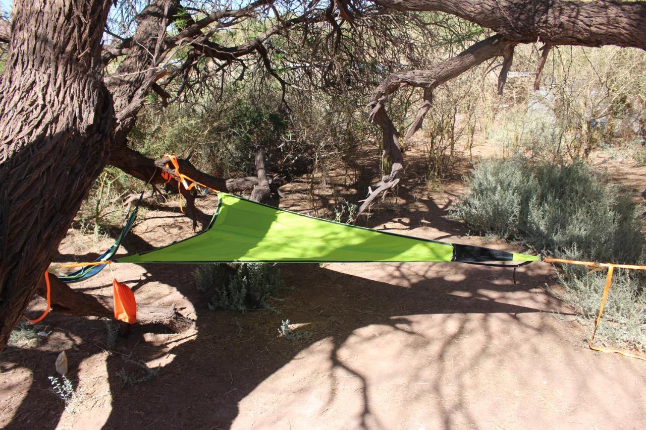 Cabana Nachitor سان بيدرو دي أتاكاما المظهر الخارجي الصورة