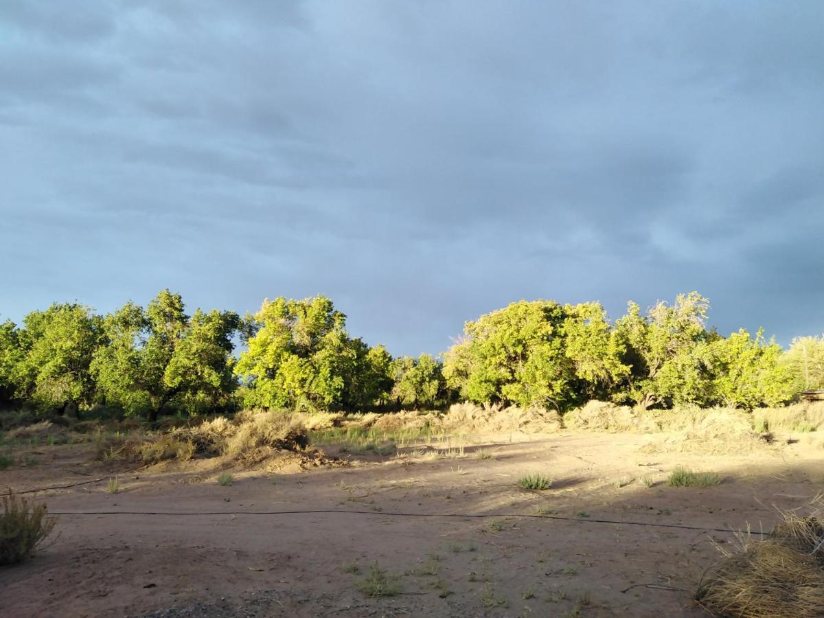 Cabana Nachitor سان بيدرو دي أتاكاما المظهر الخارجي الصورة